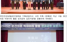 �Ǻ�����, ������ Ȱ�� �������� ����