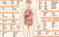 �Ǻ�����, ���̹��� ����� ������ ��� ���� ��� �뱹�� ���� ����